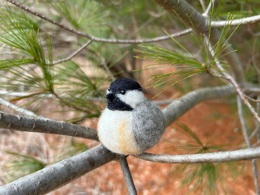 A needle-felted Black-capped Chickadee sits in an Eastern white pine tree.