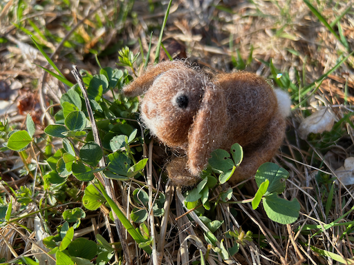 A needle felted Eastern Cottontail rabbit enjoys some clover.