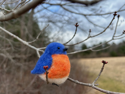 A needle-felted Eastern Bluebird sits in a staghorn sumac tree in early Spring.