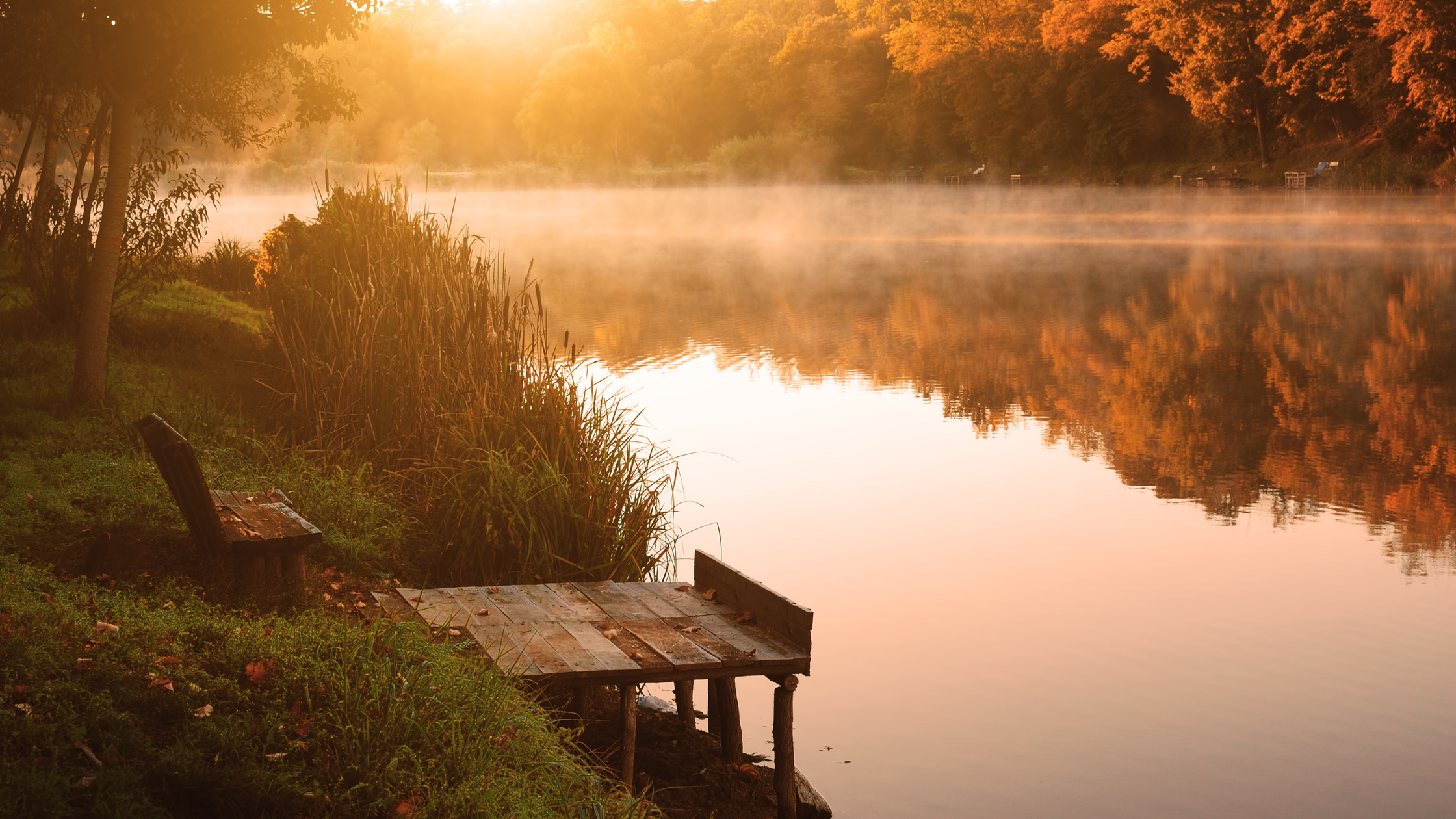 Revisiting the Ashes: September Reflections on Loss, Change, and Beginning Again