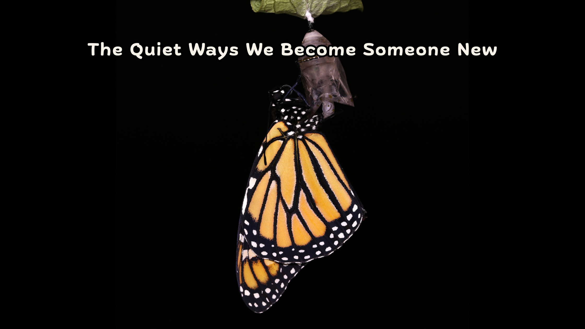 The Quiet Ways We Become Someone New | Why You're Not 
