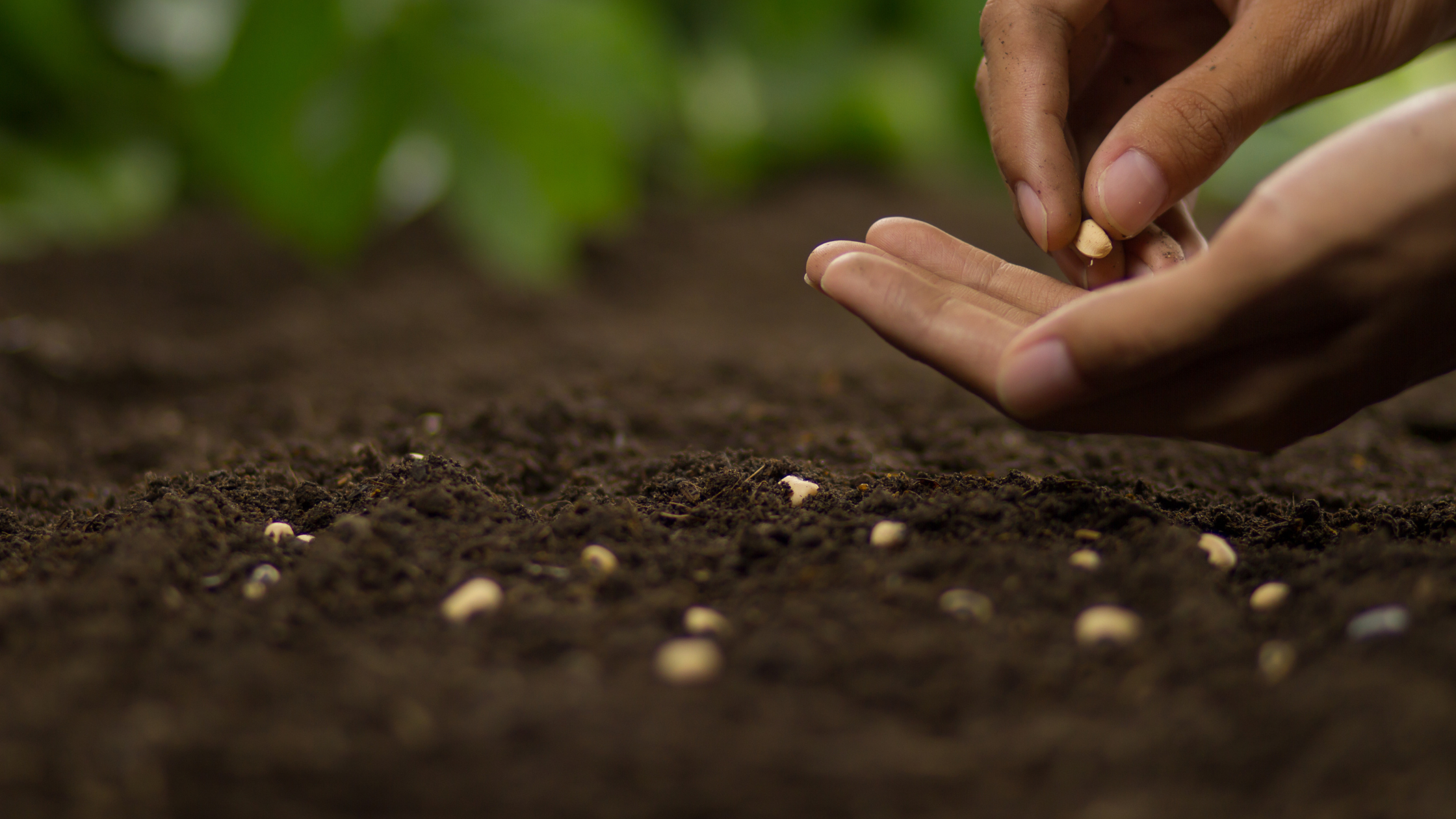 Post-Traumatic Growth: Learning How to Thrive After Trauma
