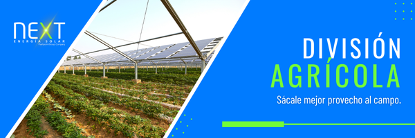 Next - Energía Solar - Soluciones División Comercial
