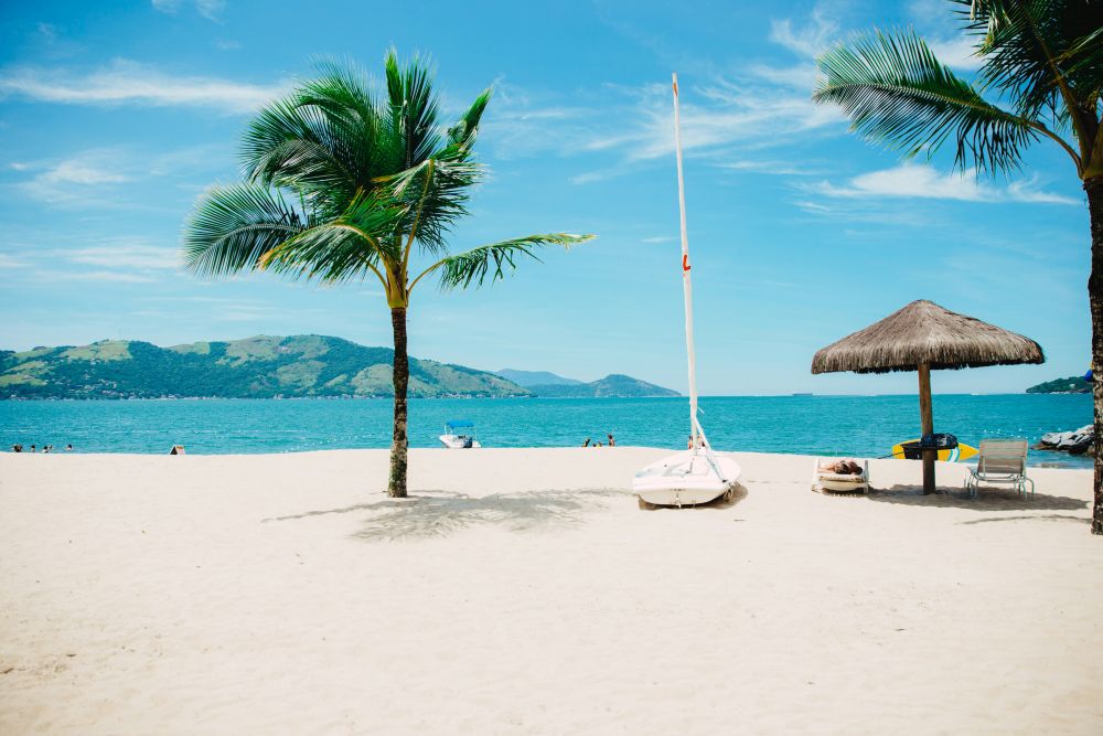 beach with palm trees and hut
