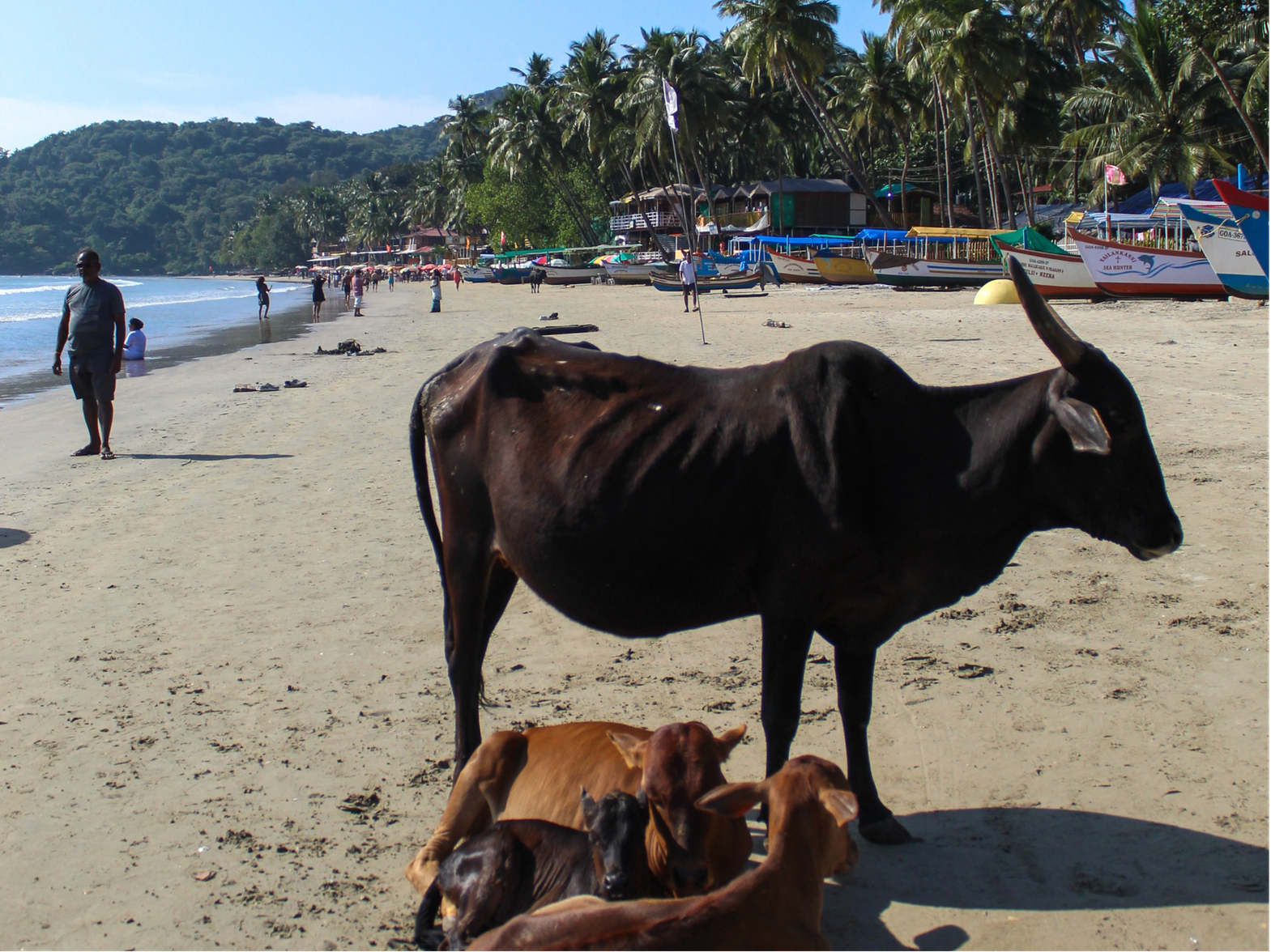 Yogis on the Road — foto dal retreat