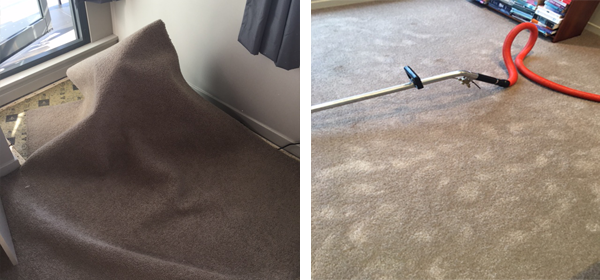 Wet Carpet Drying