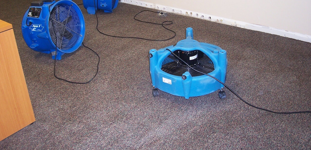 Water Damaged Carpet Drying Solutions