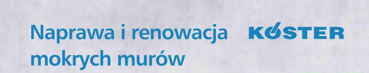 Naprawa i renowacja mokrych murów