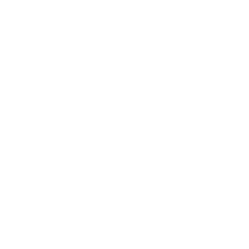 Visualization worksheet