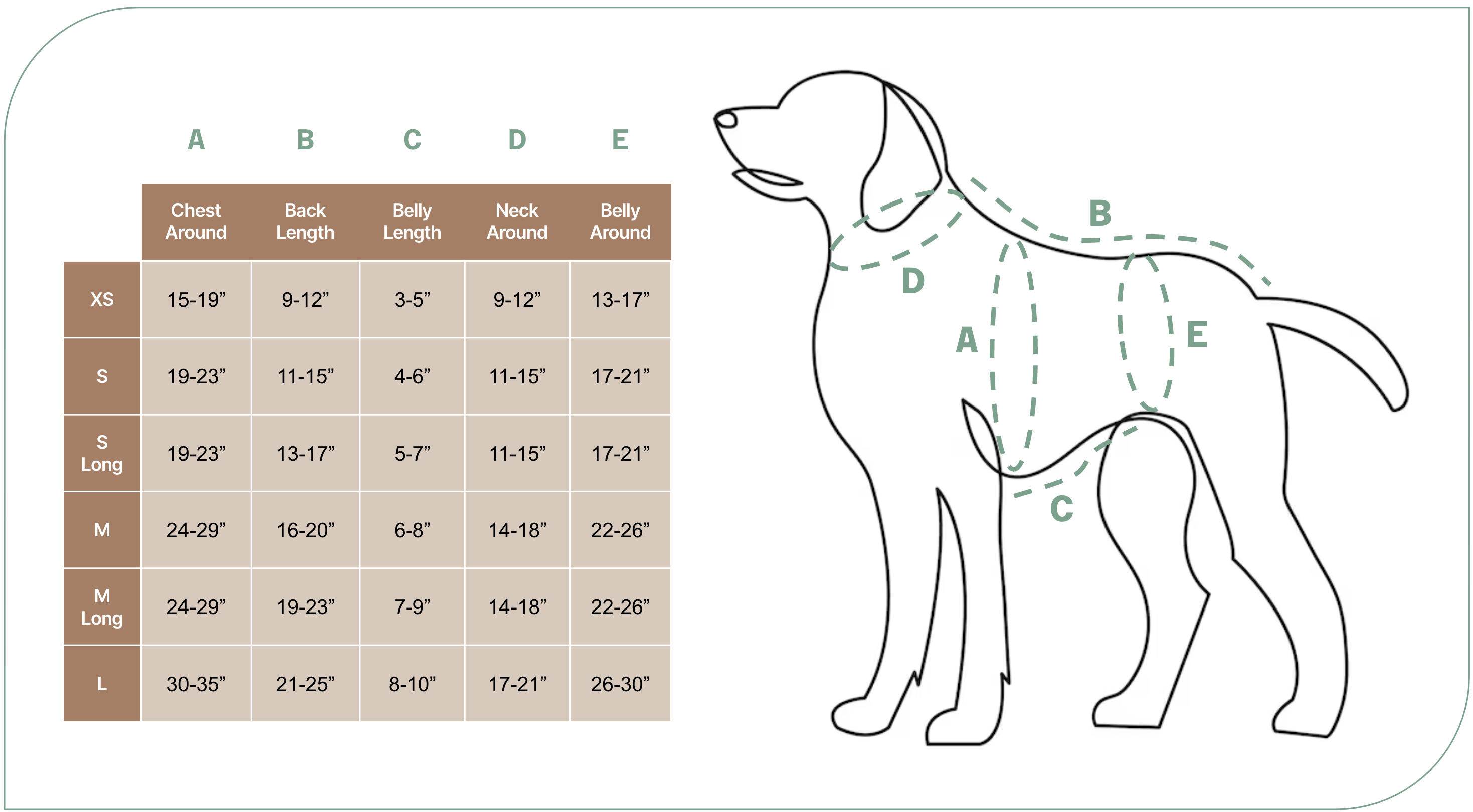 dog jacket size guide