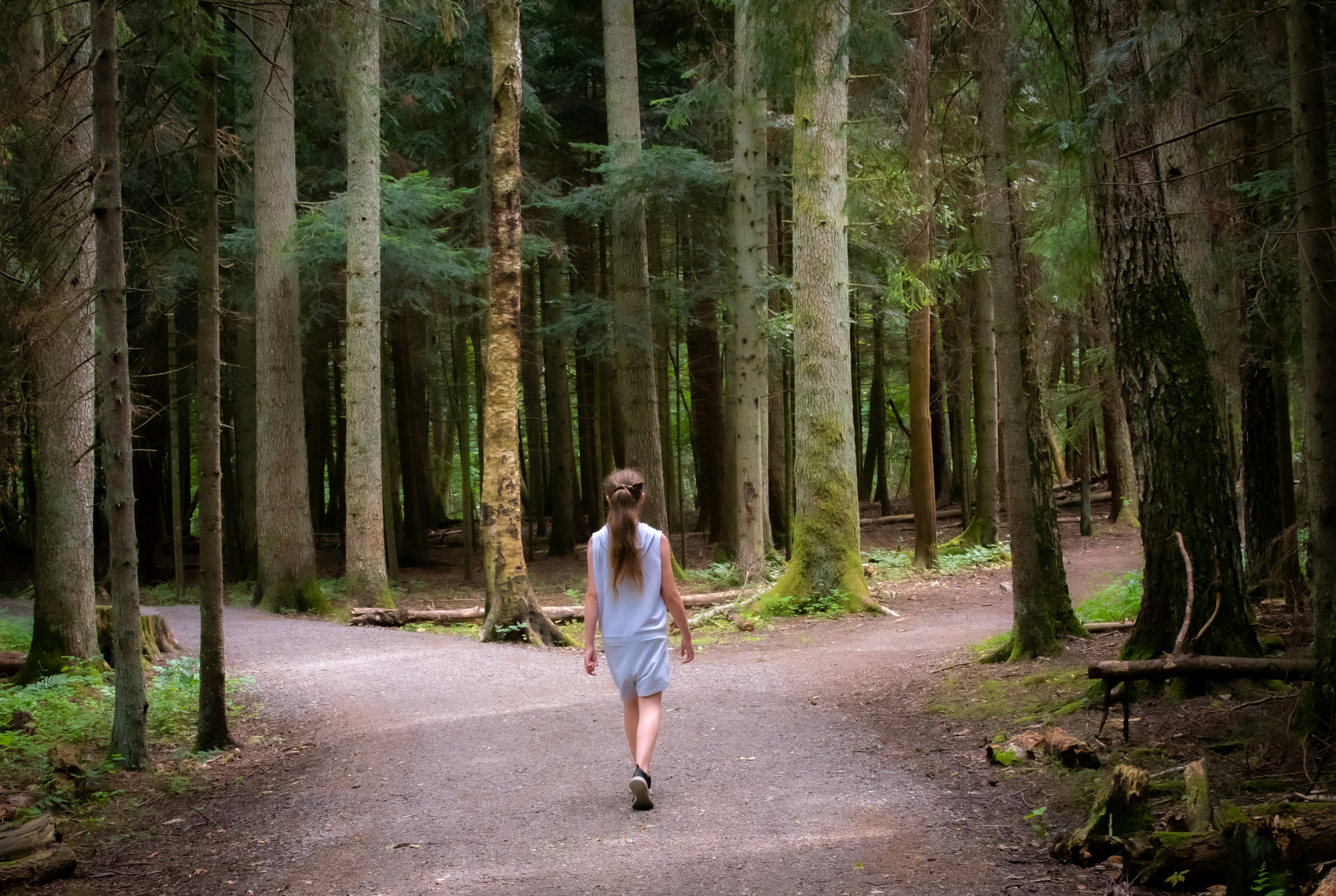 Applying to an ERC grant: signs that it is not (yet) the right time