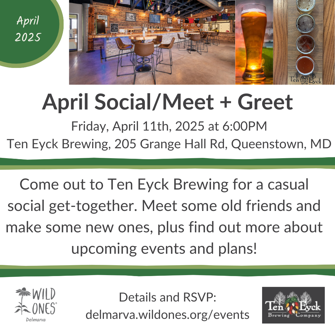 April 2025 in the top left corner with a light and medium green semicircle. A photo showing the inside of Ten Eyck Brewing and its beers. Wild Ones Delmarva logo at the bottom left and the Ten Eyck logo at the bottom right. April Social/Meet + Greet. Friday, April 11, 2025 at 6:00PM. Ten Eyck Brewing, 205 Grange Hall Rd, Queenstown, MD. Come out to Ten Eyck Brewing for a casual social get-together. Meet some old friends and make some new ones, plus find out more abot upcoming events and plans! Details and RSVP: delmarva.wildones.org/events.