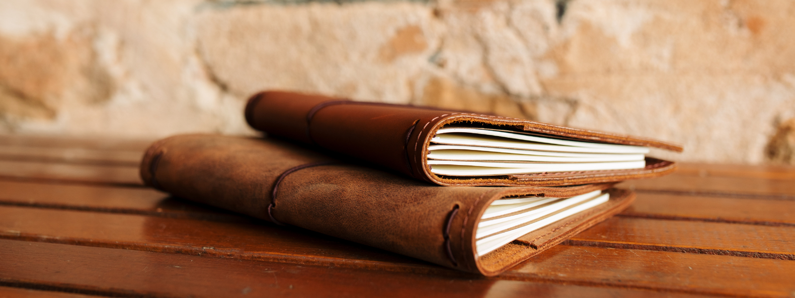 Rustic Wren traveller's notebooks and folio notebooks side by side