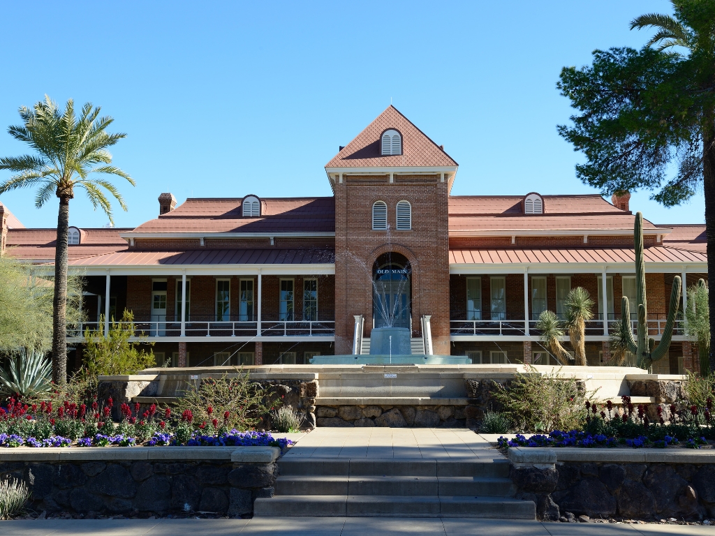 Cactus and College Life: A Deep Dive into University of Arizona