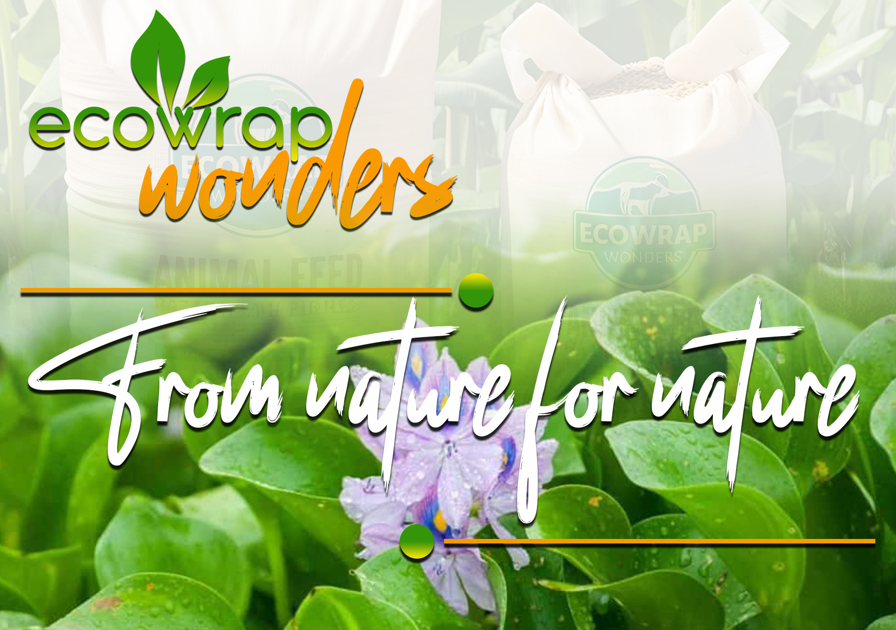 Eco Wrap