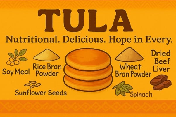 Tula