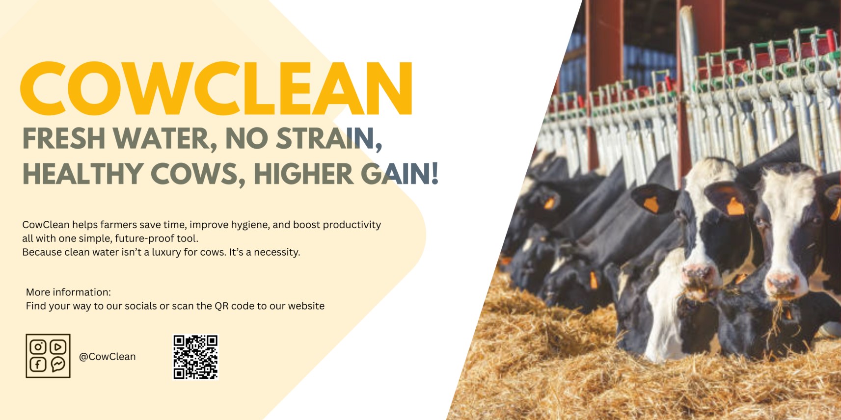 Cow Clean
