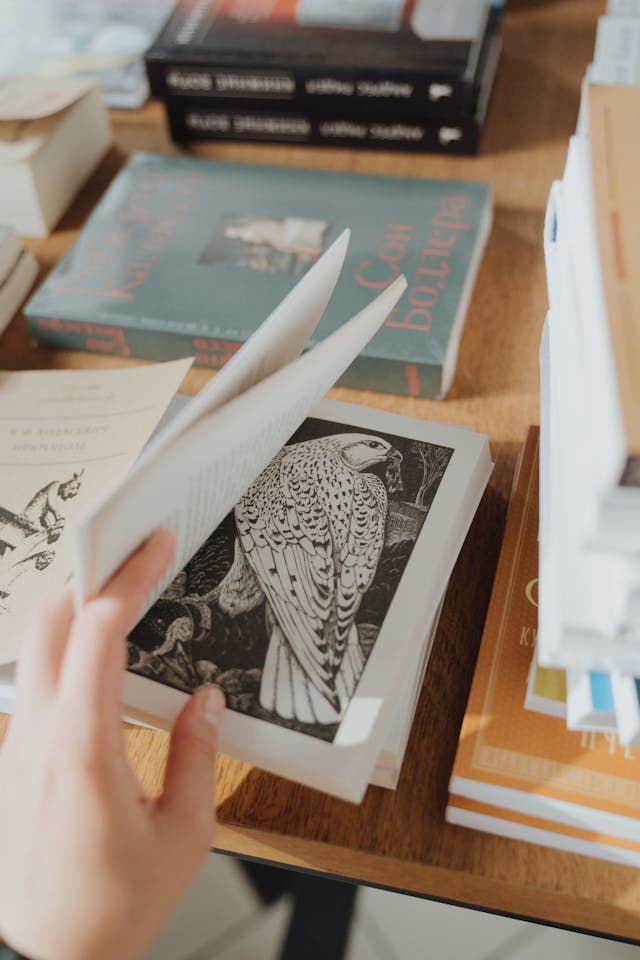 Person Holding a White and Black Book