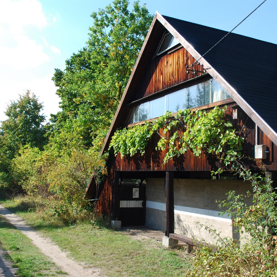 Kadr z filmu przedstawiający postać kobiecą stojącą przy mikrofonie.