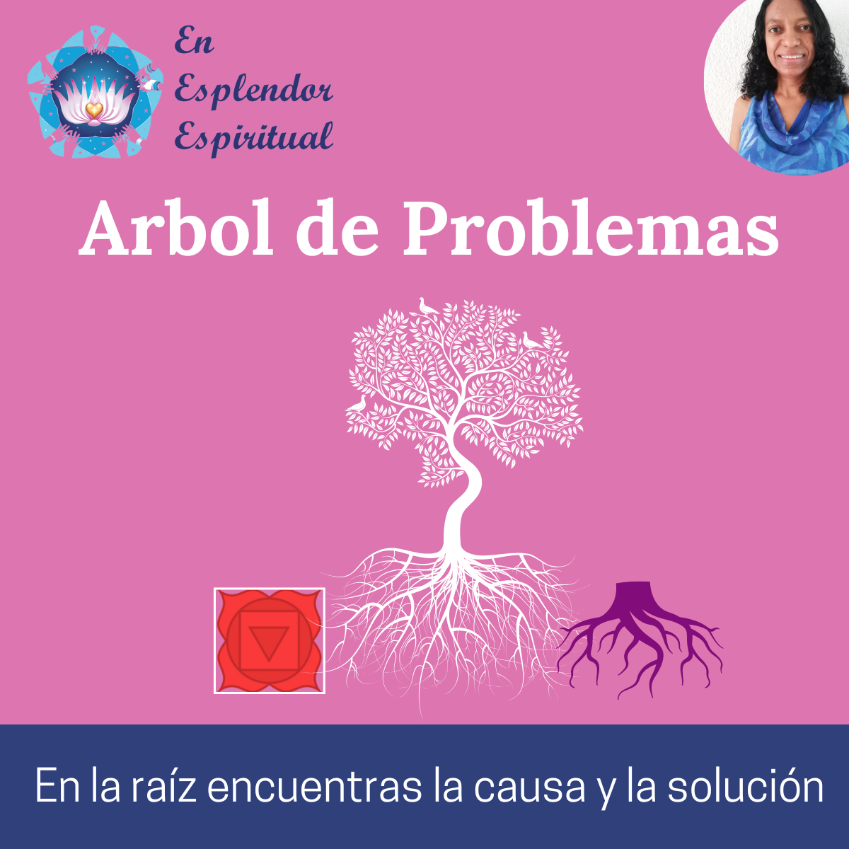 Arbol de Problemas
