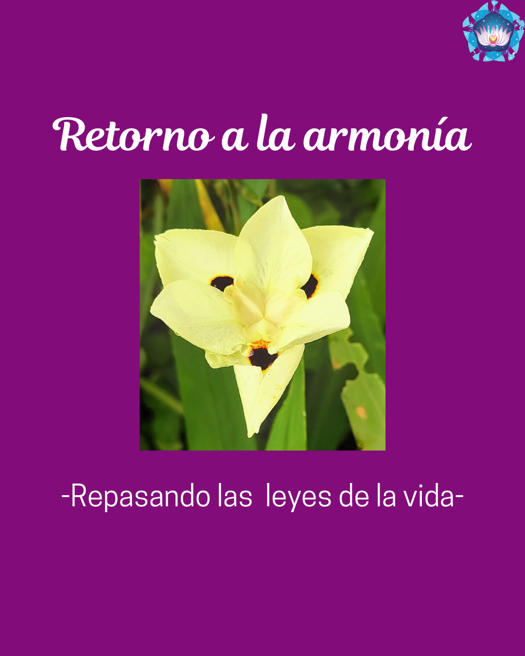 Retorno a la armonía
