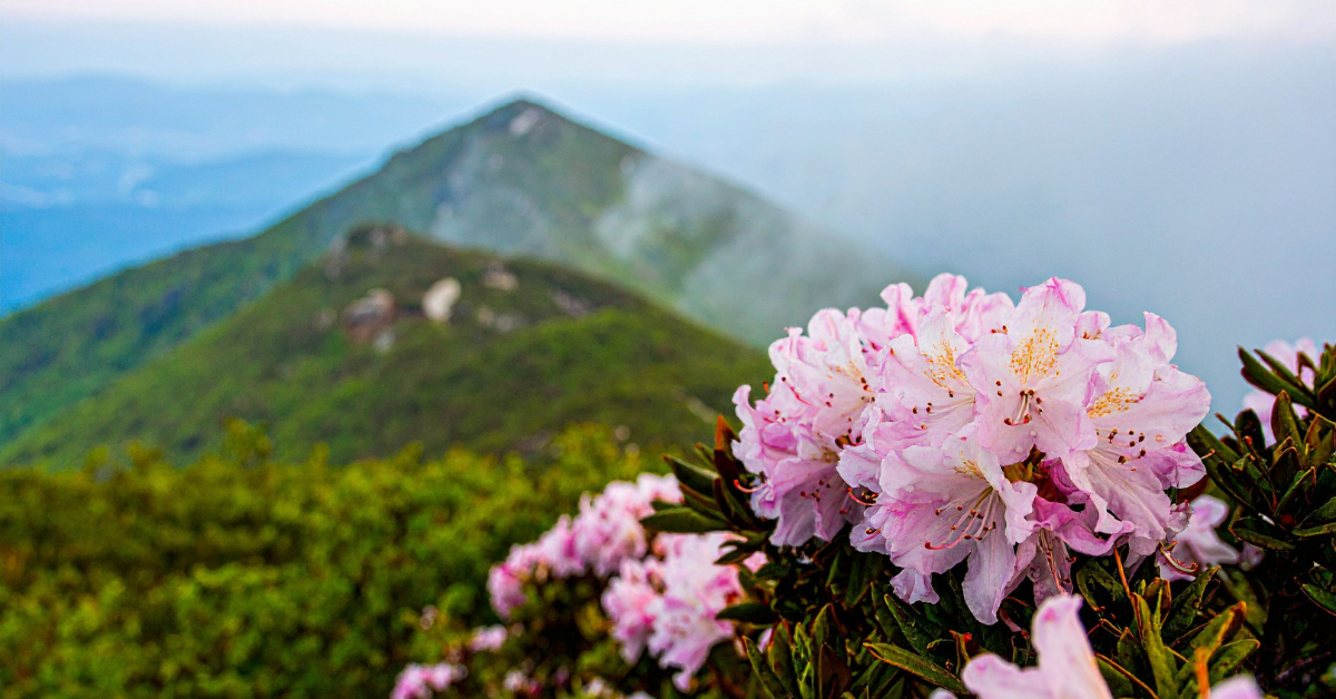 What Trauma Therapy Really Offers — From Someone Who’s Lived It