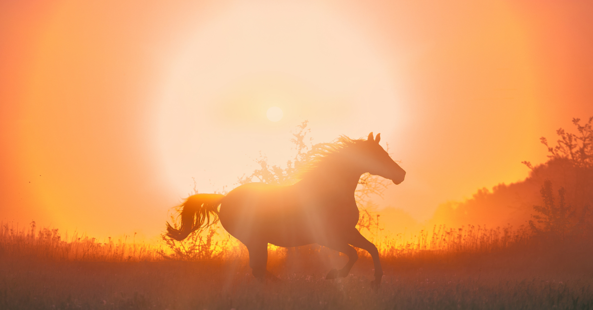 Freedom After Decades: Healing From Trauma That Lasted 45 Years