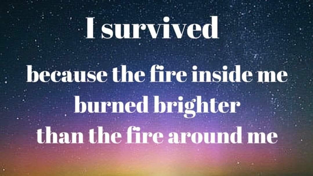 Surviving Despite the Storm