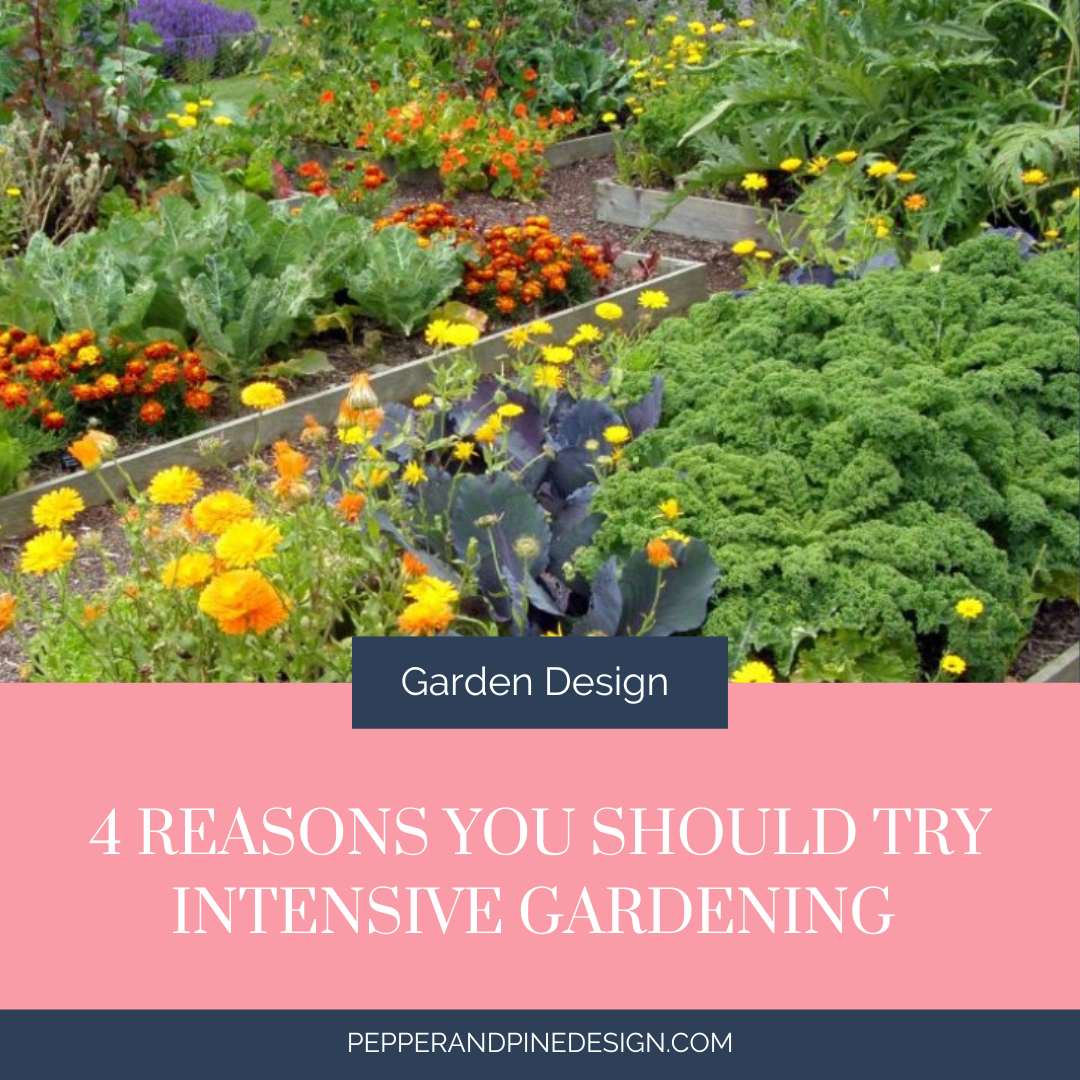 4 Reasons You Should Try Intensive Gardening