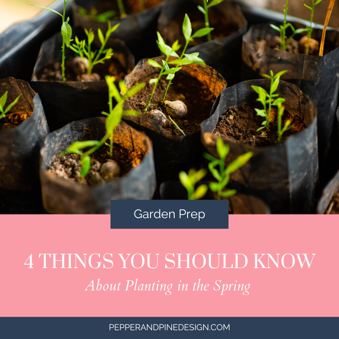 4 Things You Should Know About Planting in the Spring
