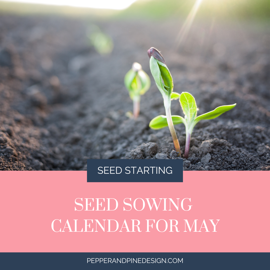 Seed Sowing Calendar for May