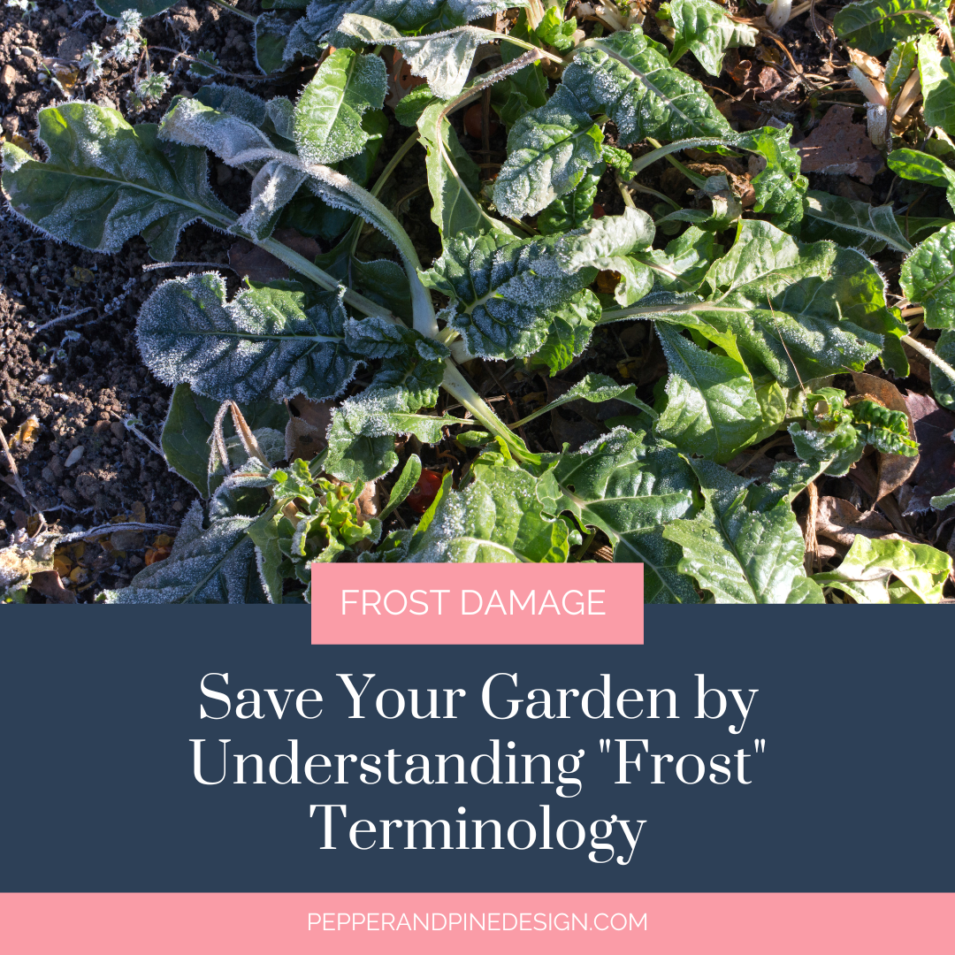 Save Your Garden by Understanding Frost Terminology
