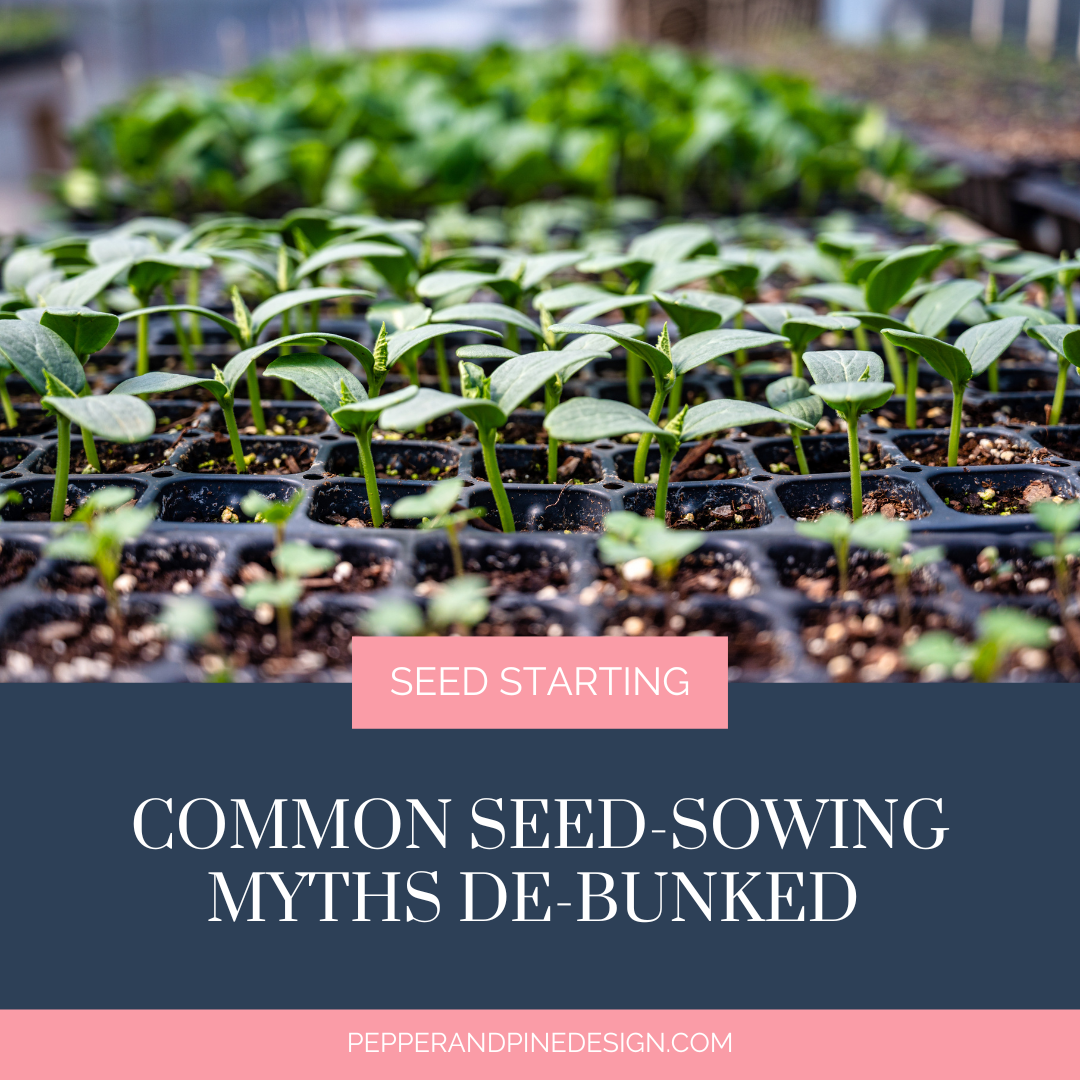 5 Common Seed Sowing Myths Debunked