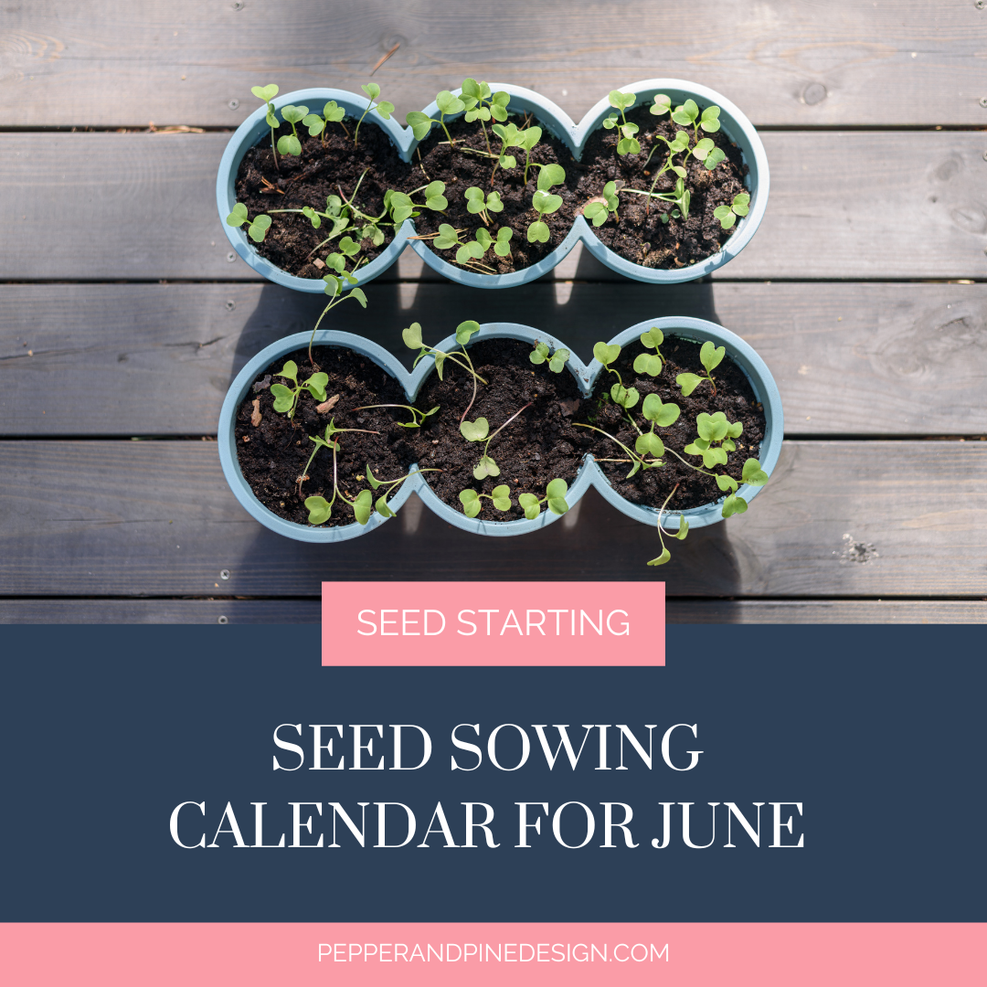 Seed Sowing Calendar for June