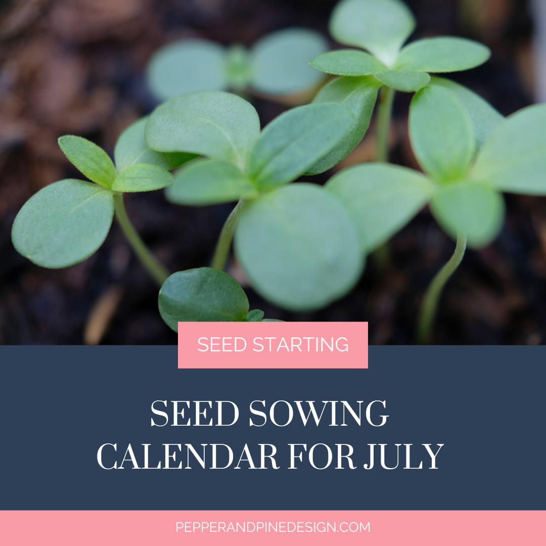 Seed Sowing Calendar for July