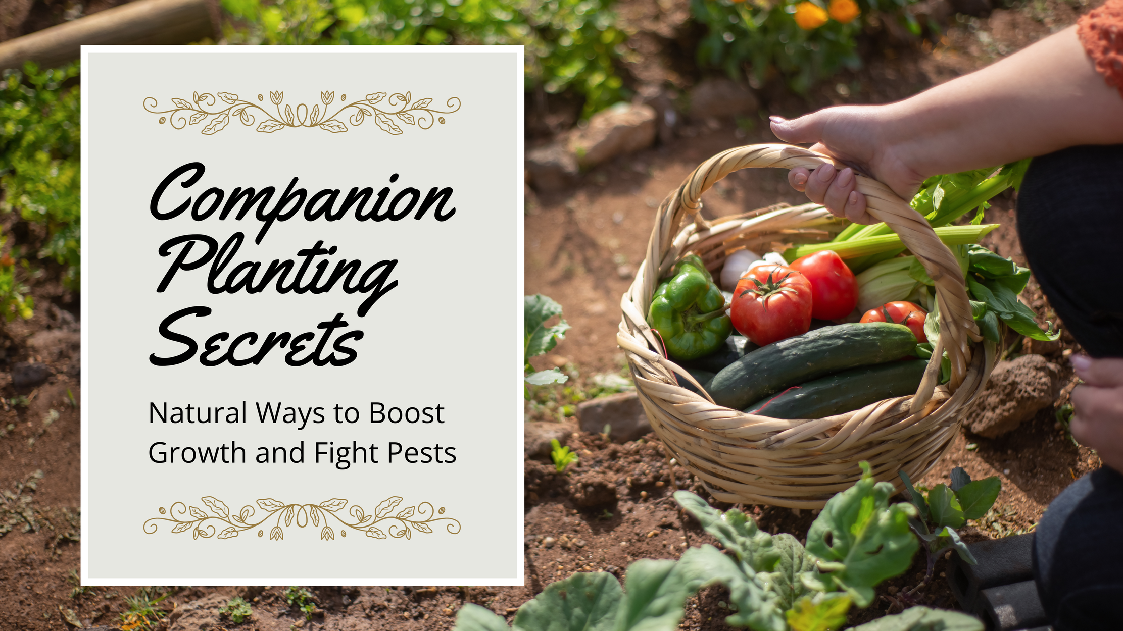 Companion Planting Secrets: Natural Ways to Boost Growth & Fight Pests
