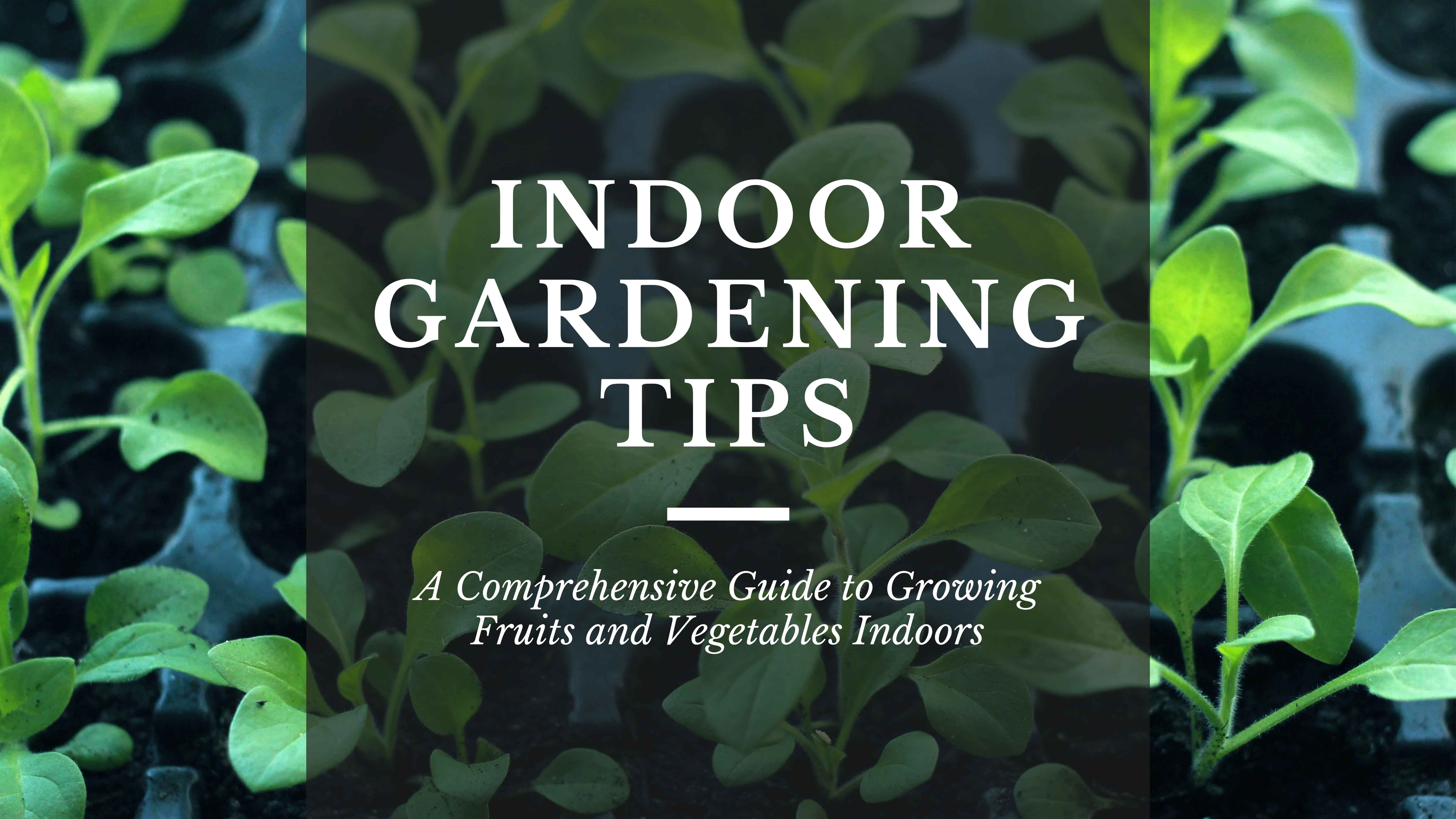 Green leafy seedlings growing in trays with the title ‘Indoor Gardening Tips’ in bold white text. Subtitle reads ‘A Comprehensive Guide to Growing Fruits and Vegetables Indoors.’