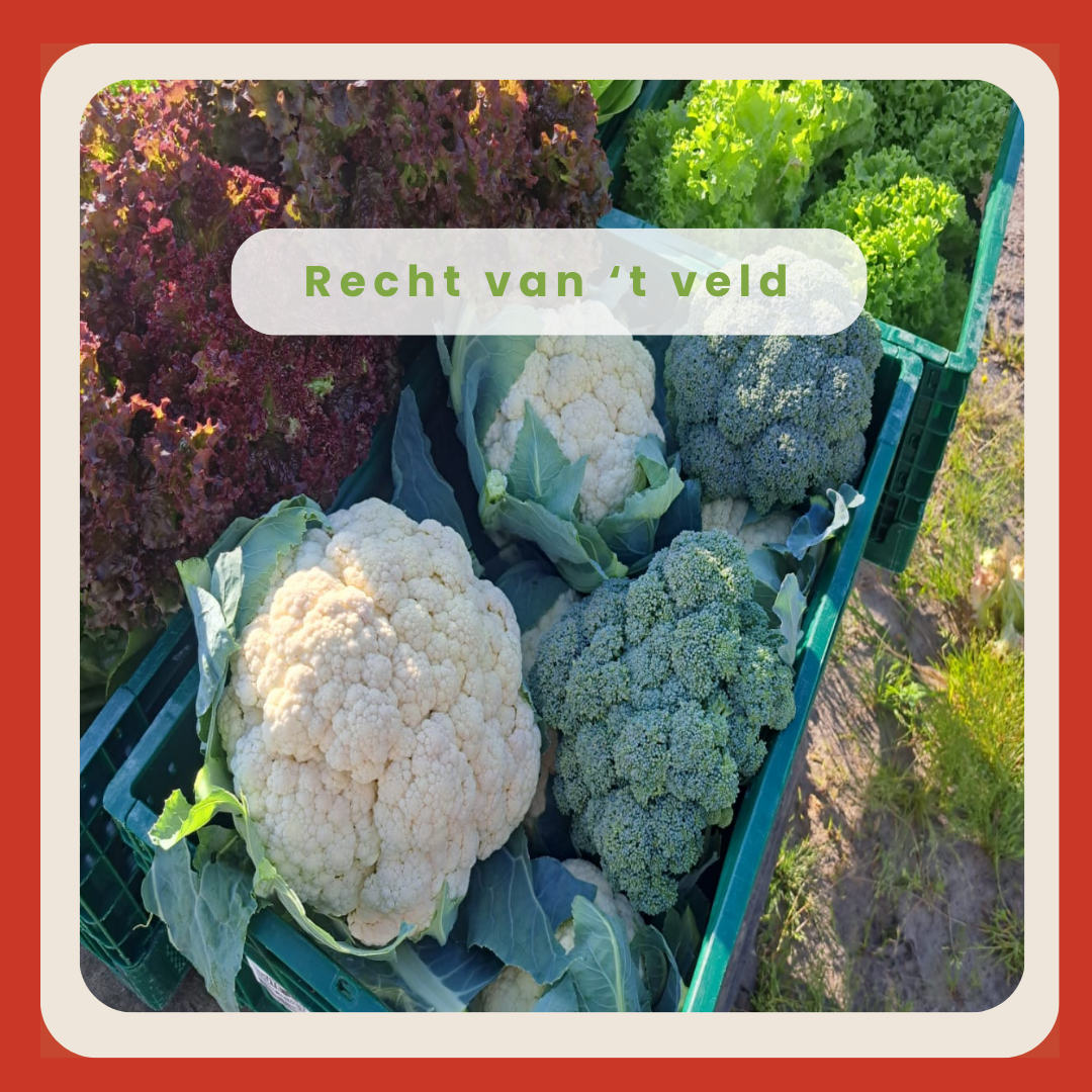 Recht van't veld