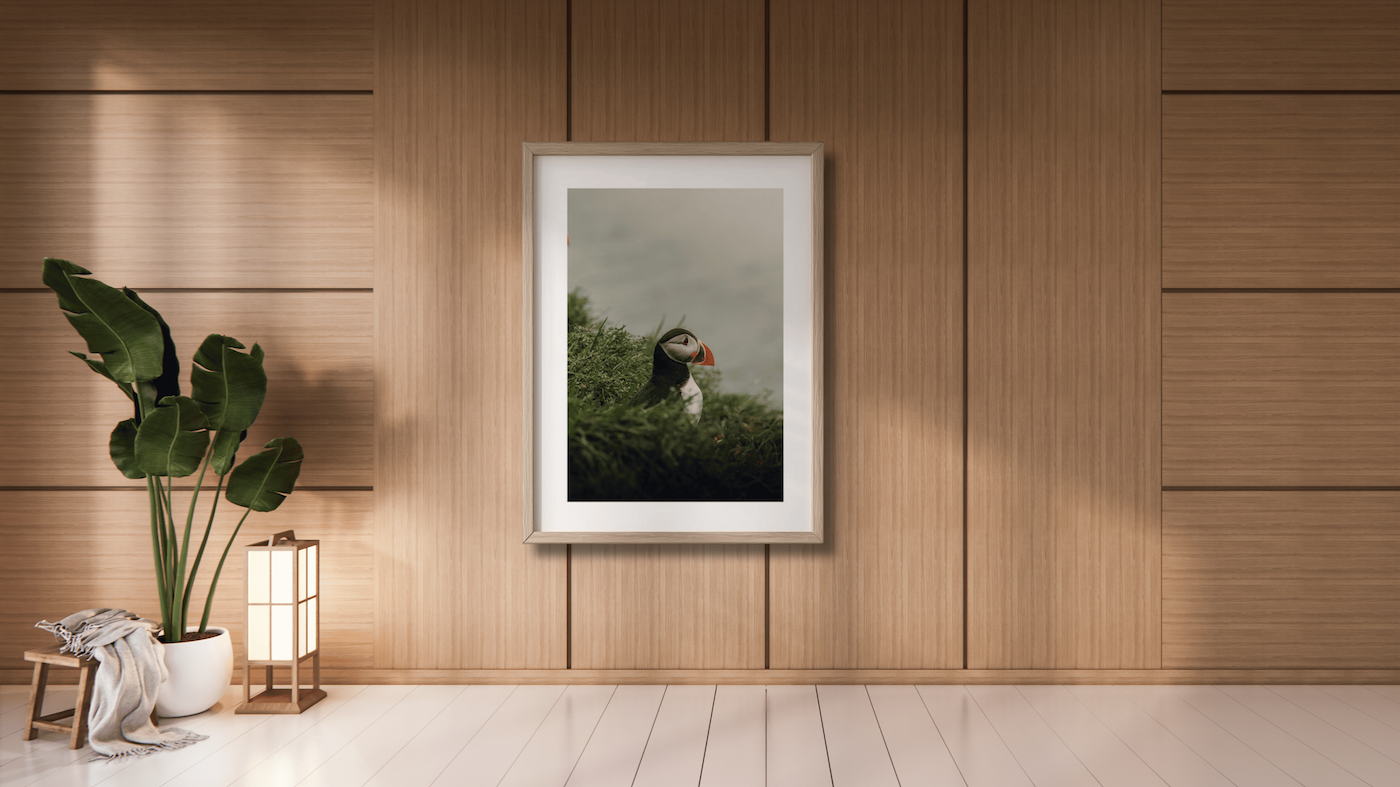 Selling Prints on Etsy: When a Stranger Pays for Your Photo