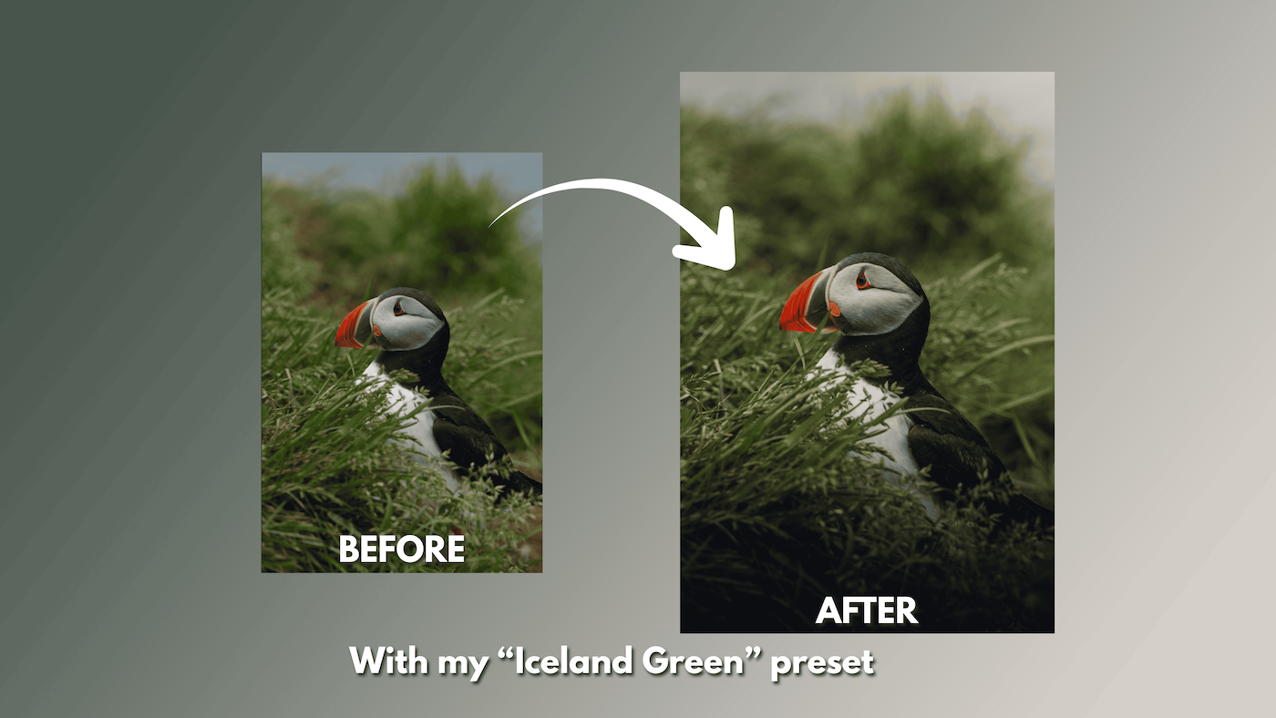 tonyatpham lightroom combo street nature preset pack