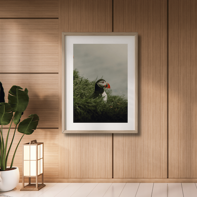 physical premium prints of original artwork