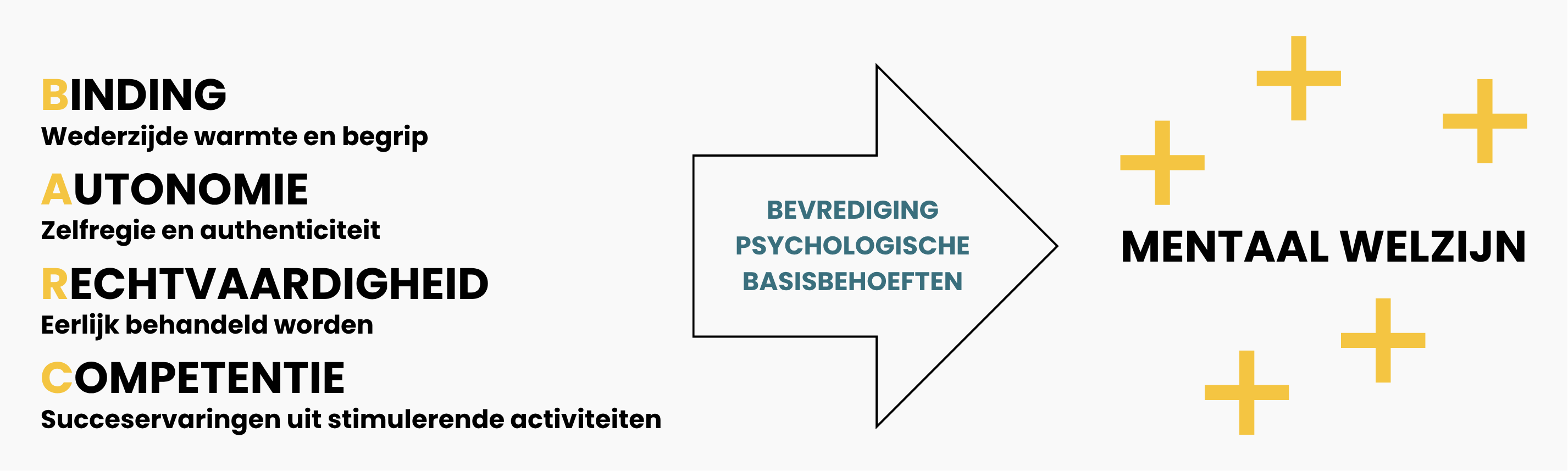 psychologische basisbehoeften bevrediging
