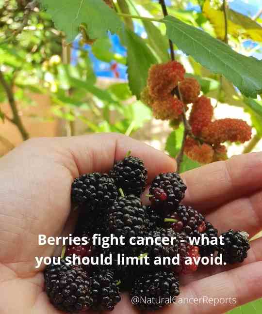 All Berries Fight Cancer but avoid this one food...