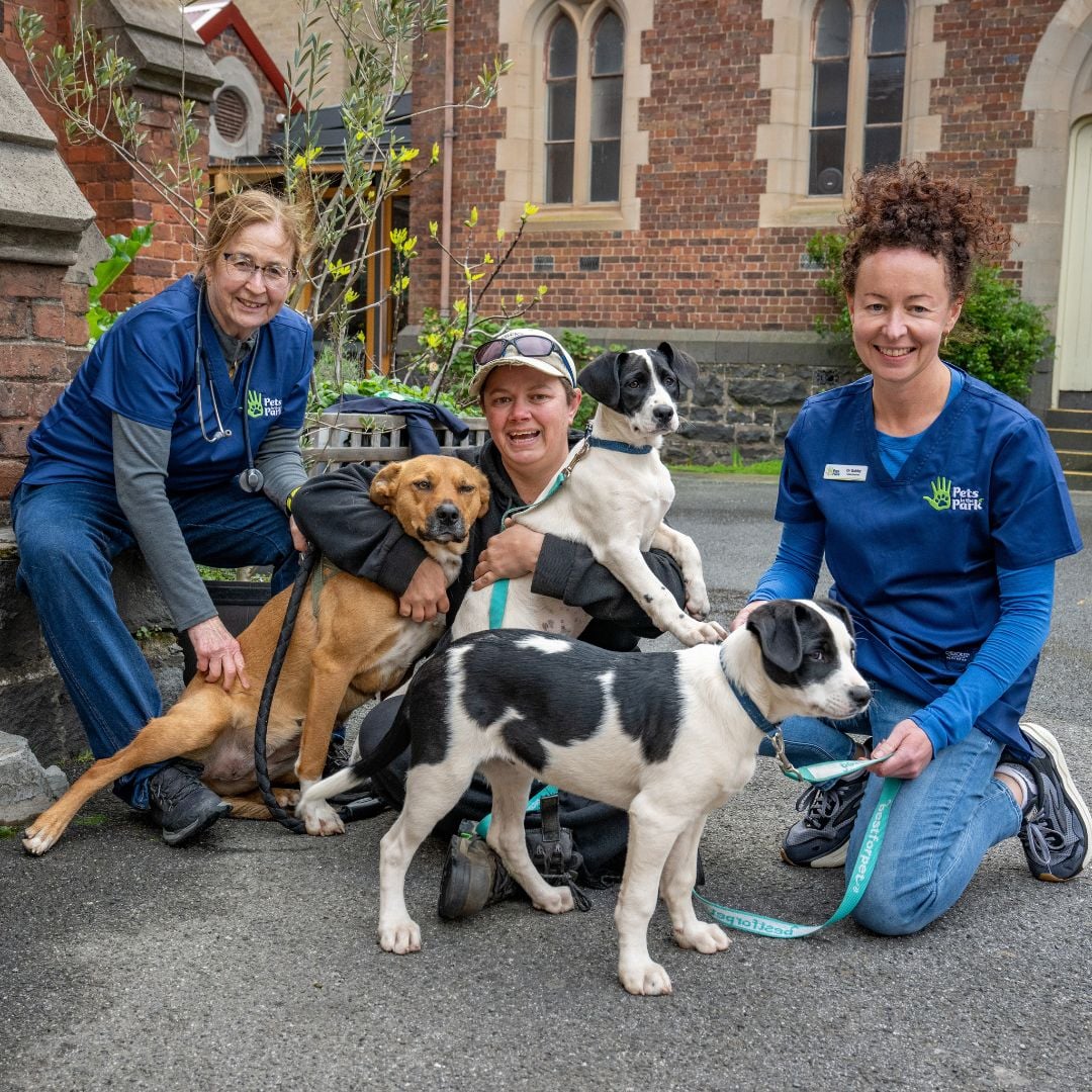 Photograph shared on the Sydney · Leichhardt public page