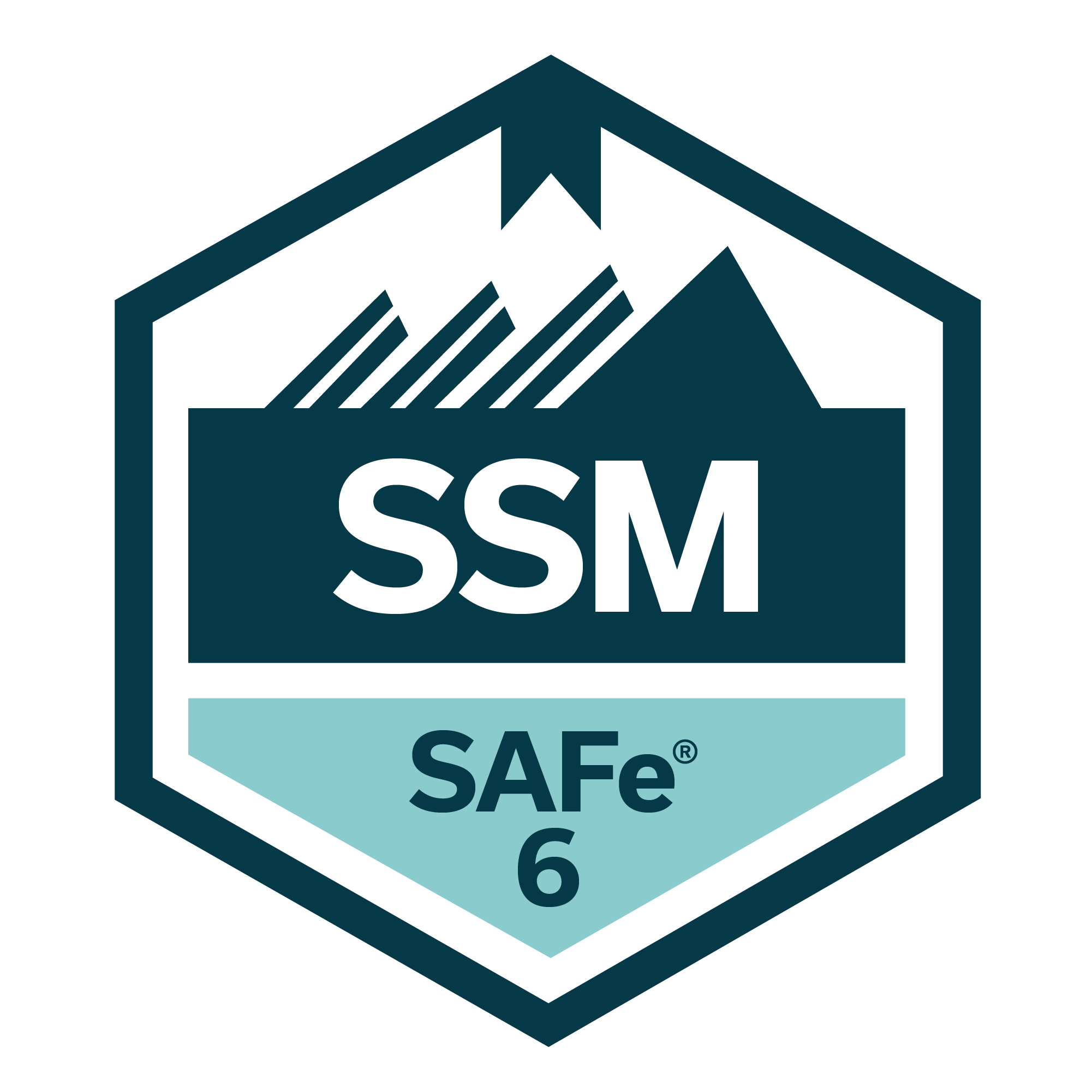 Scaled Agile SAFe 6 Certified Scrum Master