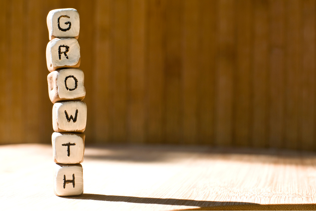 building blocks with the word growth