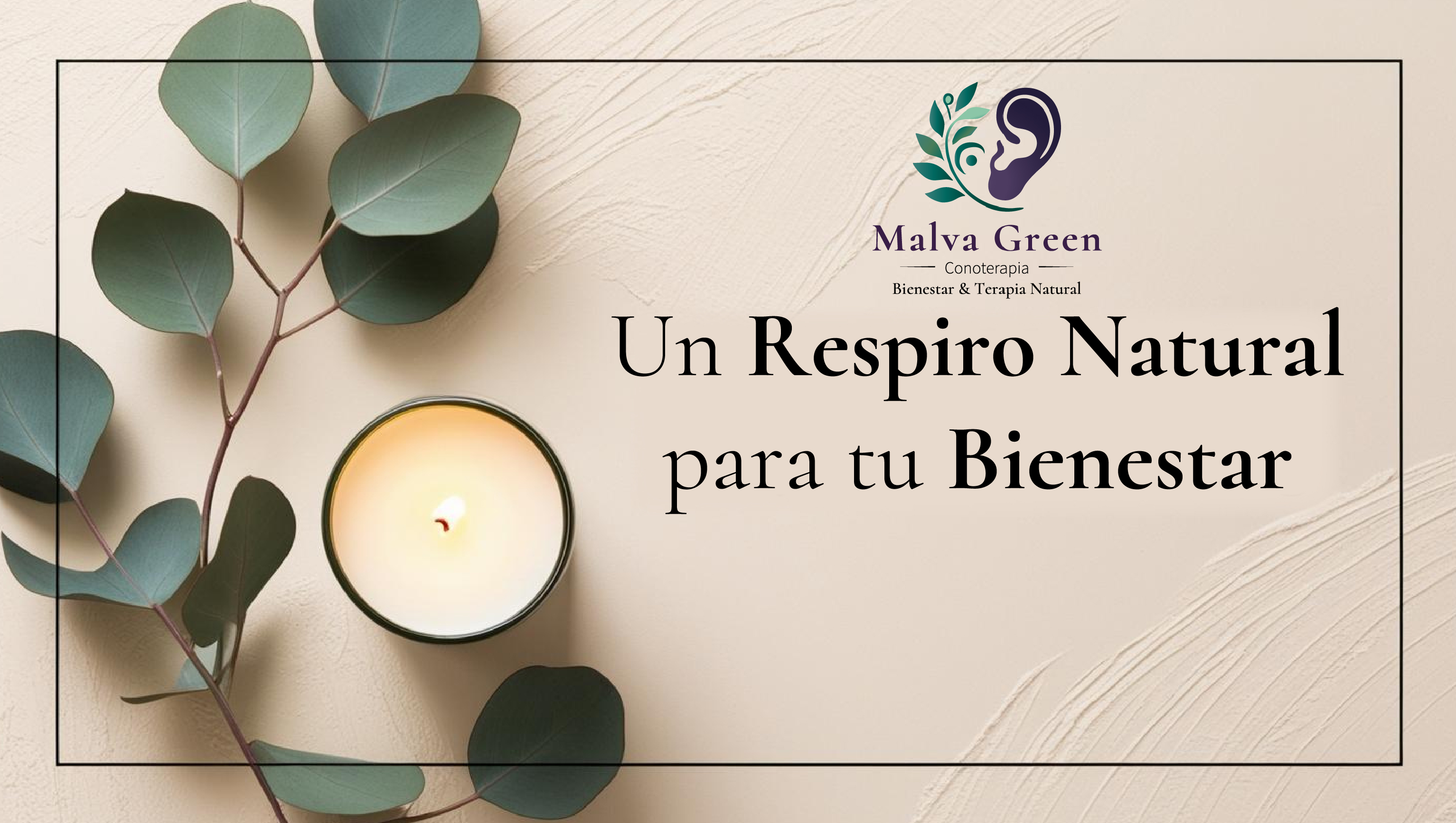 Conoterapia: Un Respiro Natural para tu Bienestar 🌿✨
