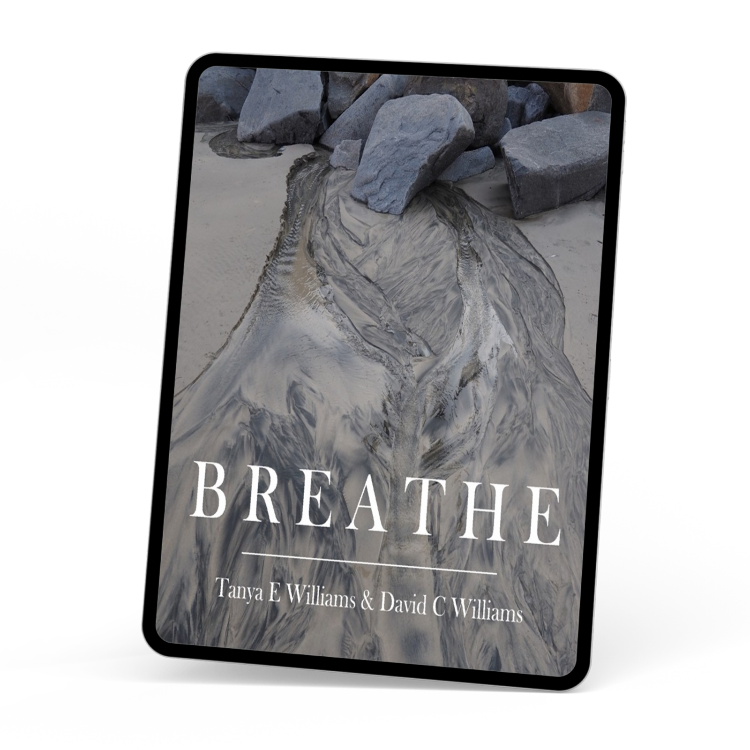 Breathe by Tanya E Williams & David C Williams, an eBook inspirational, photographic non-fiction book perfect for reflection and introspection