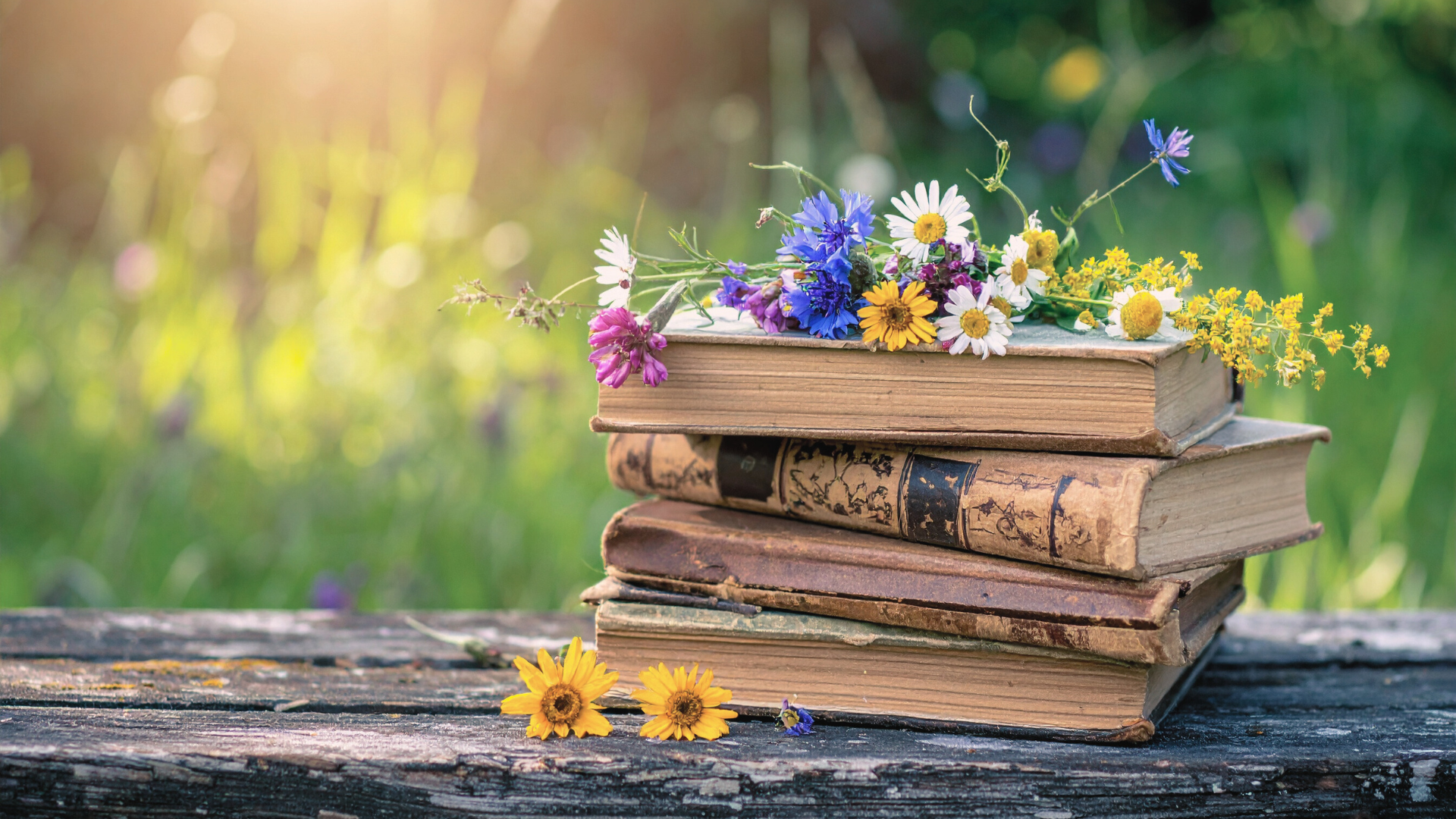 Historical Fiction Books to Read This Spring