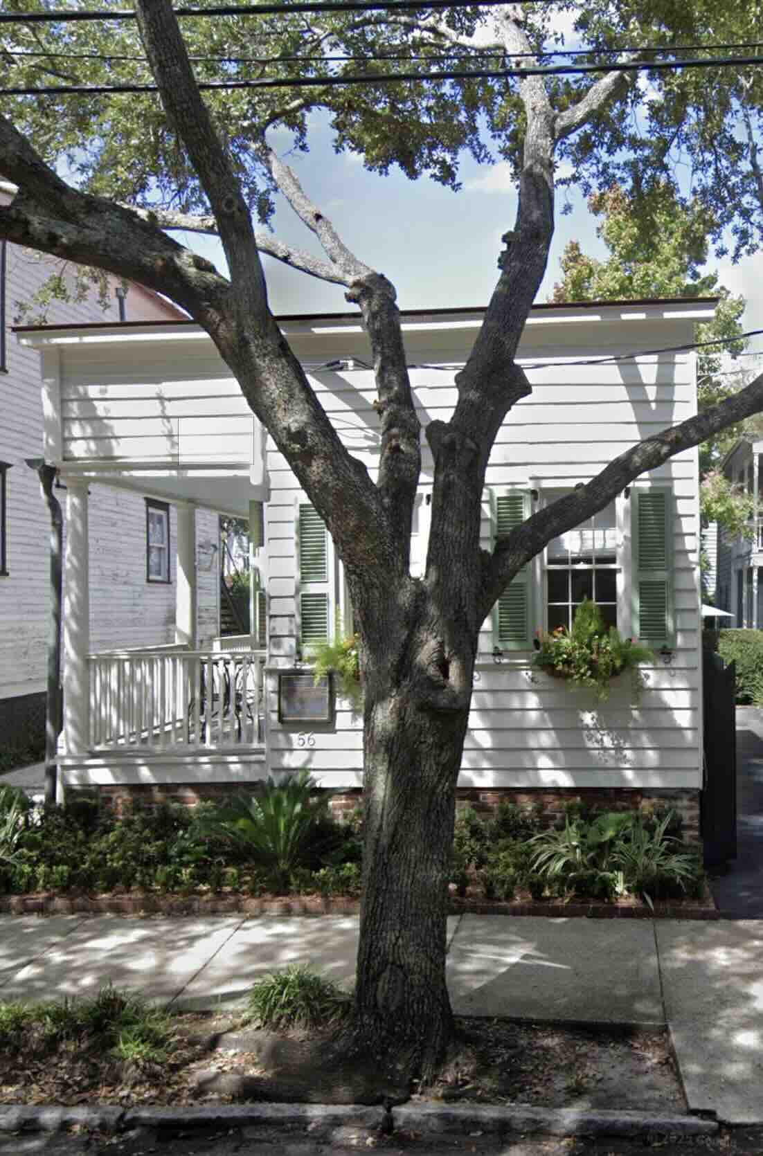 Planning & Zoning Committee supports appeal of 56 Bull Street